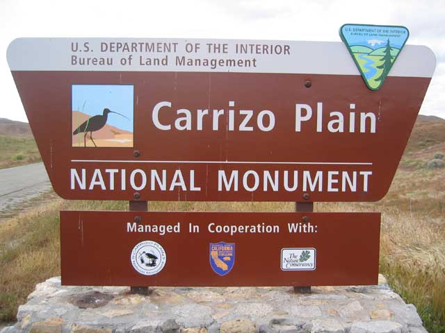 carrizo1.jpg - 37448 Bytes